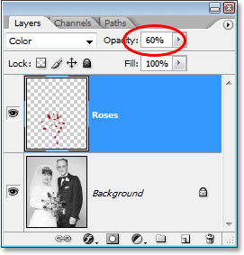 roses-opacity1 Режим наложения Color в Photoshop